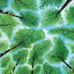 久久99国产乱子伦精品免费
